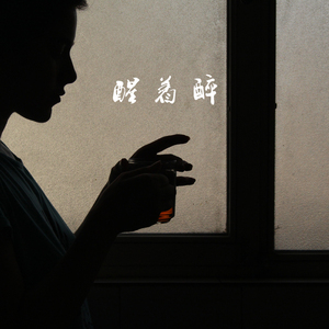 70hinese浓毛老太HD
