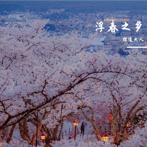 70hinese浓毛老太HD
